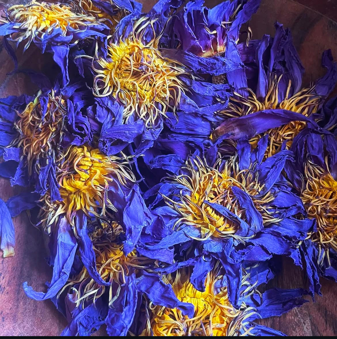 Organic Blue Lotus Flowers