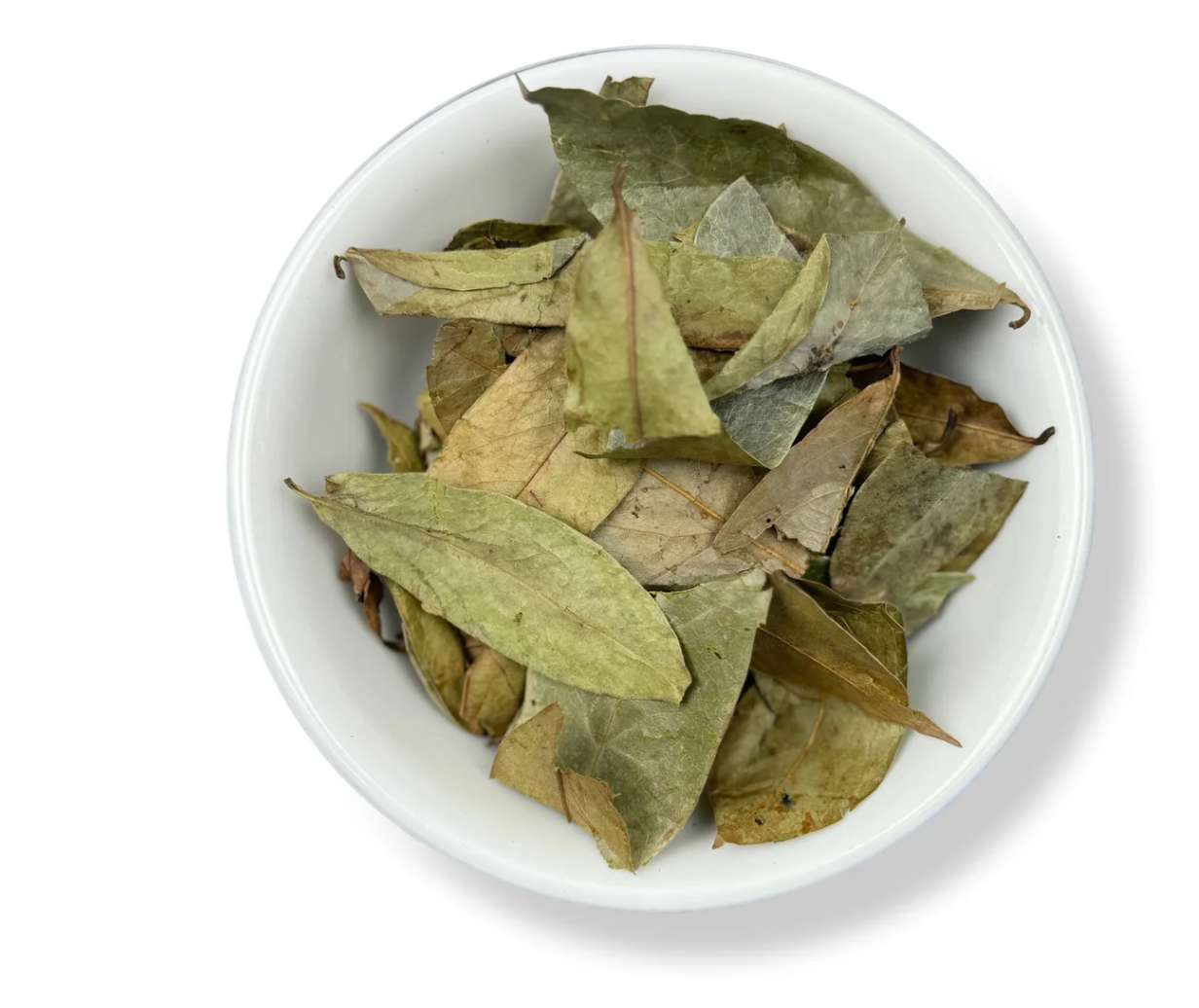 Hojas de guanábana