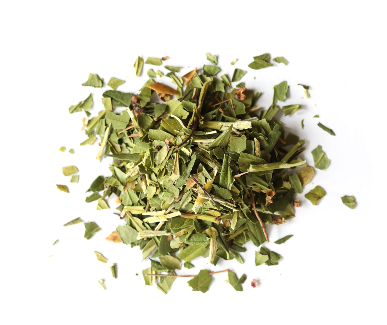 Pipsissewa Herb