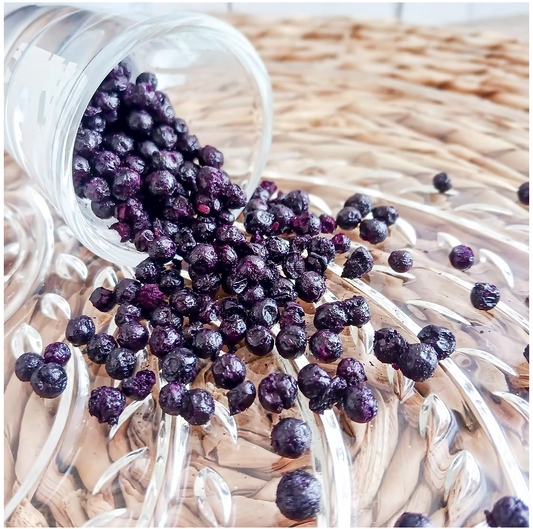 Organic Elderberry