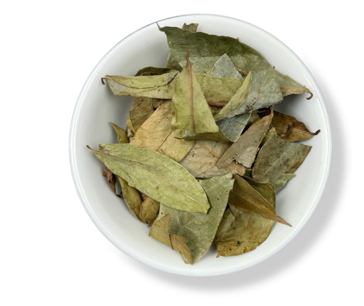 Soursop Leaves