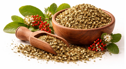 🌿 Dog Blood (Jamaican Fertility Herb)