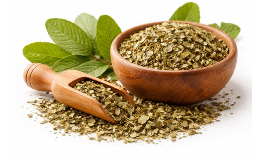 Guava Leaves (Psidium guajava)