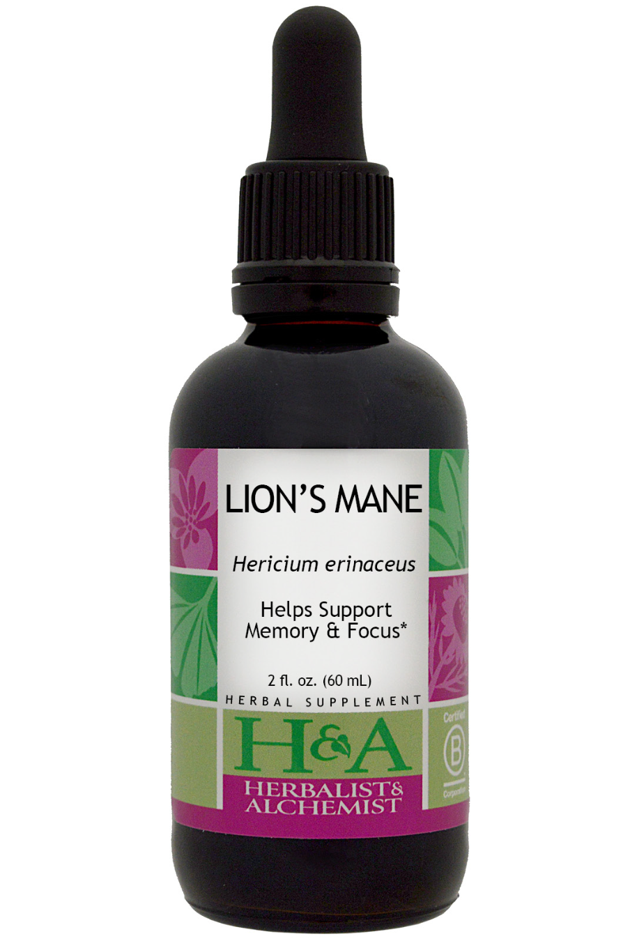 H & A Lion's Main