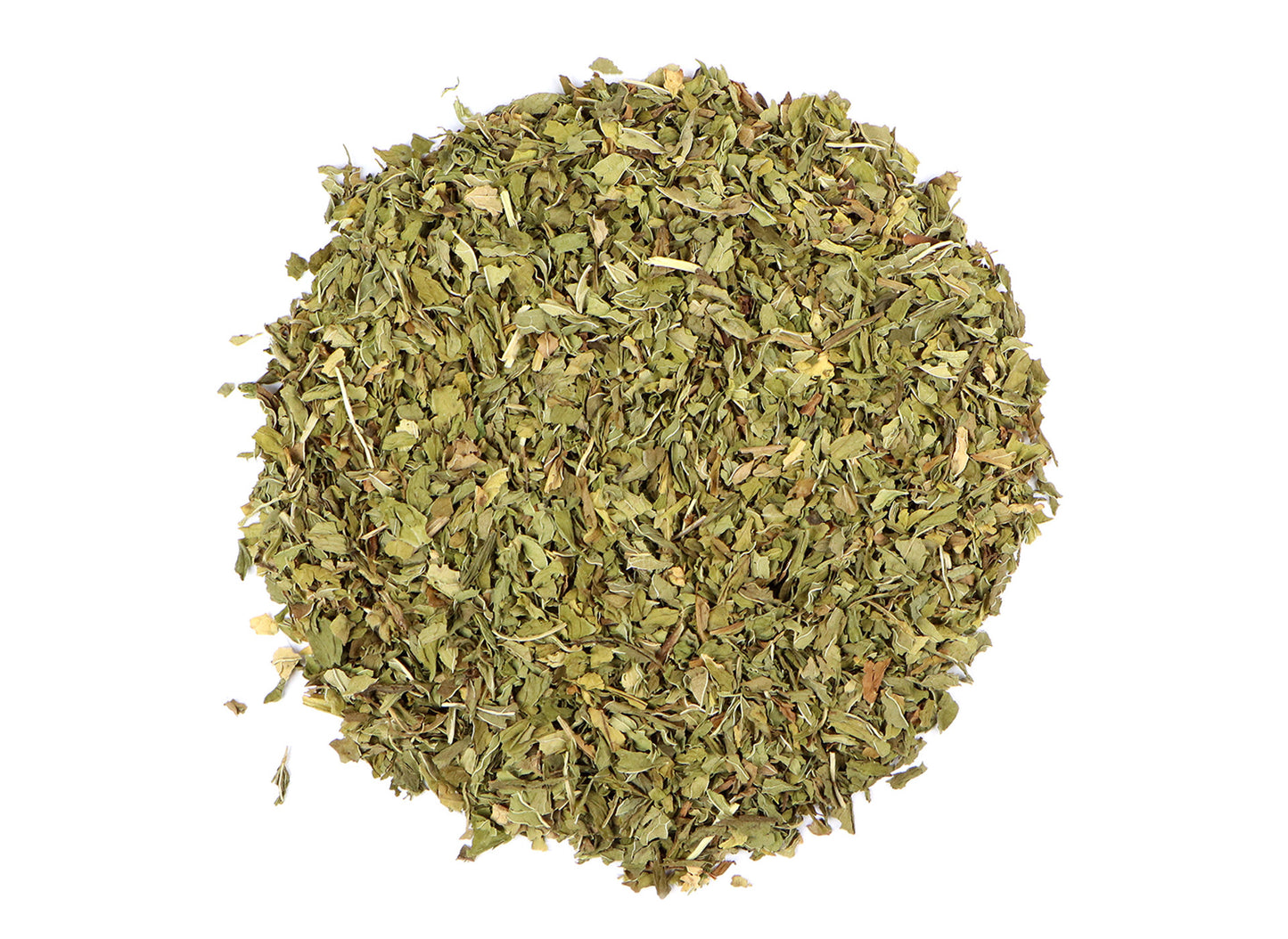 Hoja de menta verde