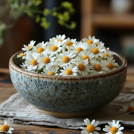 Chamomile